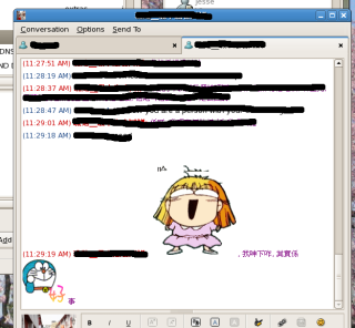 Gaim chat window, with new functions