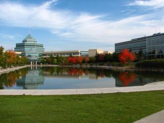 Fall, leaf turning color in Ottawa