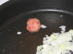 meatball on the pan