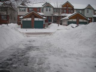 Too much snow 2008 - 1